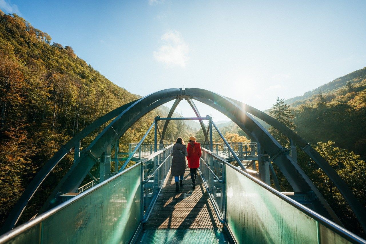 Baumwipfelpfad HarzVenture