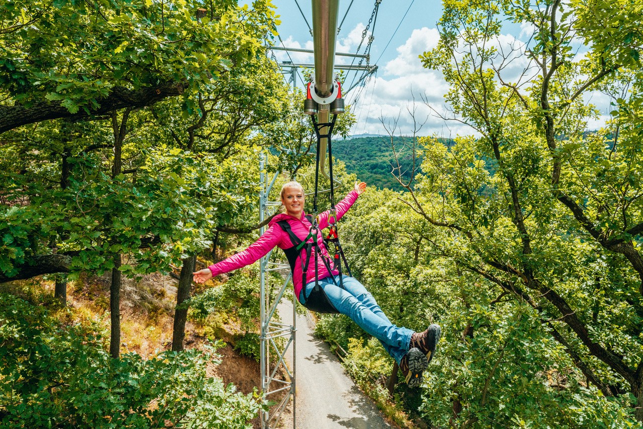 BaumSchwebeBahn Harz (c) Nordstadtlicht 