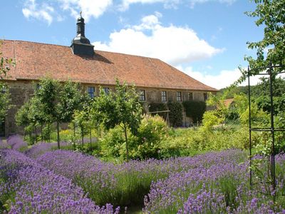 Kloster Michaelstein - Blick in den Gemüsegarten