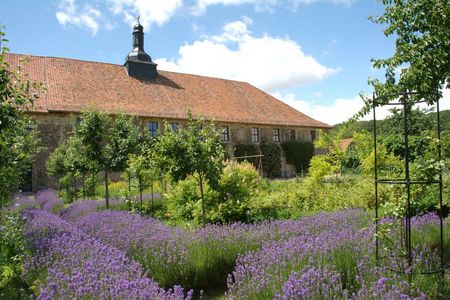 Kloster Michaelstein - Blick in den Gemüsegarten