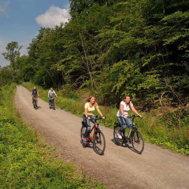 Genuss Bike - Radtour im Elm