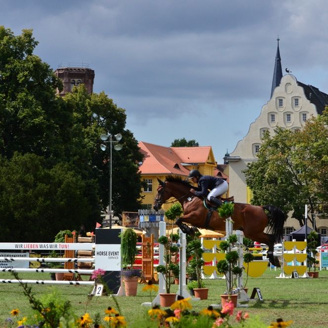 Ascania Pferdefestival in Aschersleben