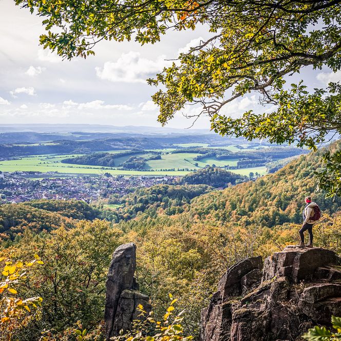 Falkenstein 