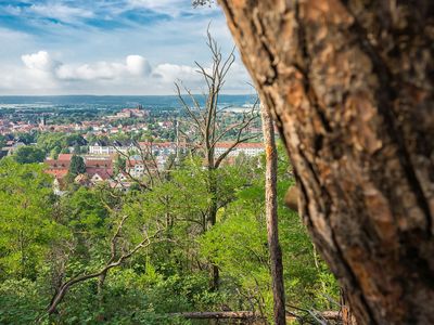 Blick von der Hammwarte auf Quedlinburg