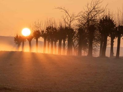 Sonnenaufgang im Harz