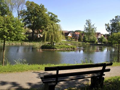 Teiche an der Verschönerung mit Bank im Vordergrund