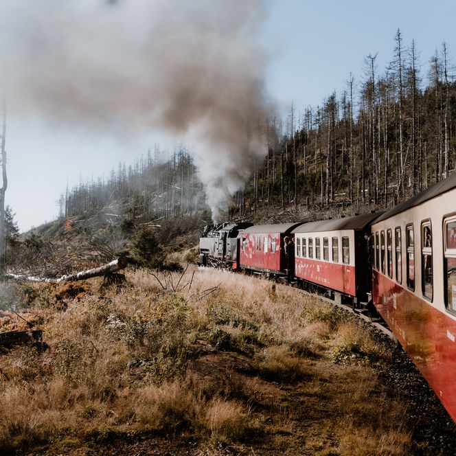 HSB Harzer Schmalspurbahn Wernigerode Schierke
