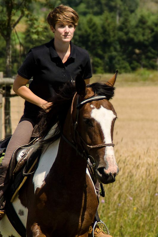 Wanderreiten im Harz - Hasselfelde - Galopp