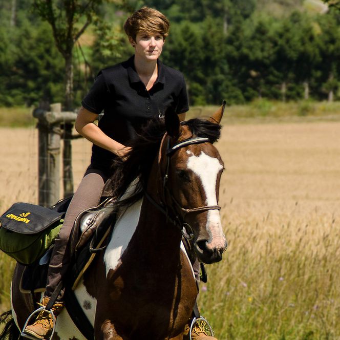 Wanderreiten im Harz - Hasselfelde - Galopp