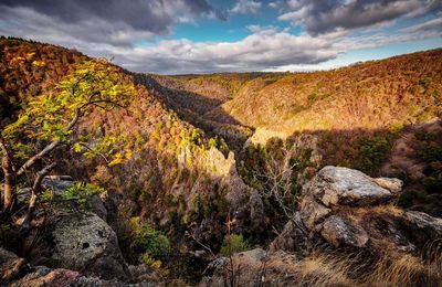 Blick ins Bodetal von der Rosstrappe