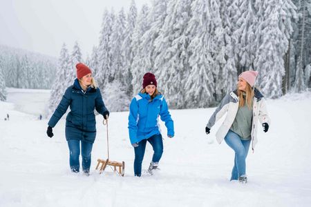 Rodeln in Hahnenklee