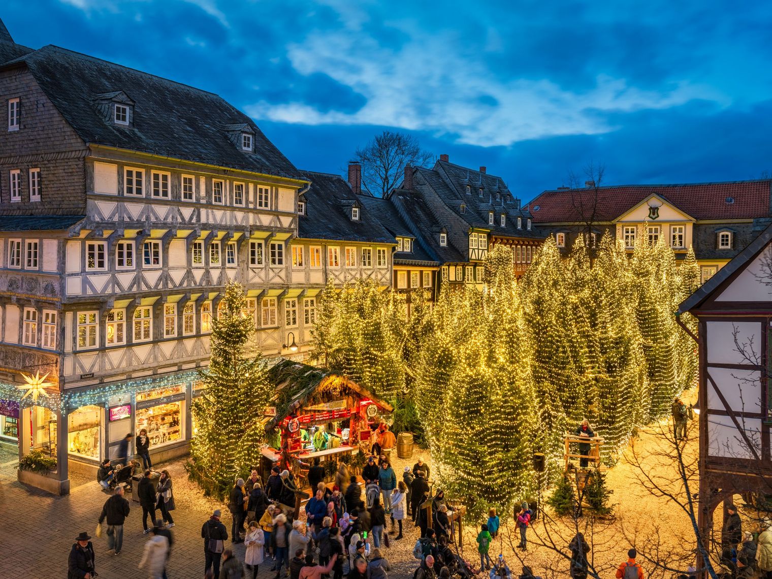 Goslarer Weihnachtswald