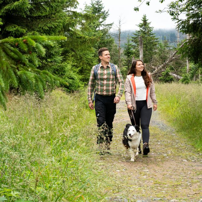 Märchenweg am Torfhaus
