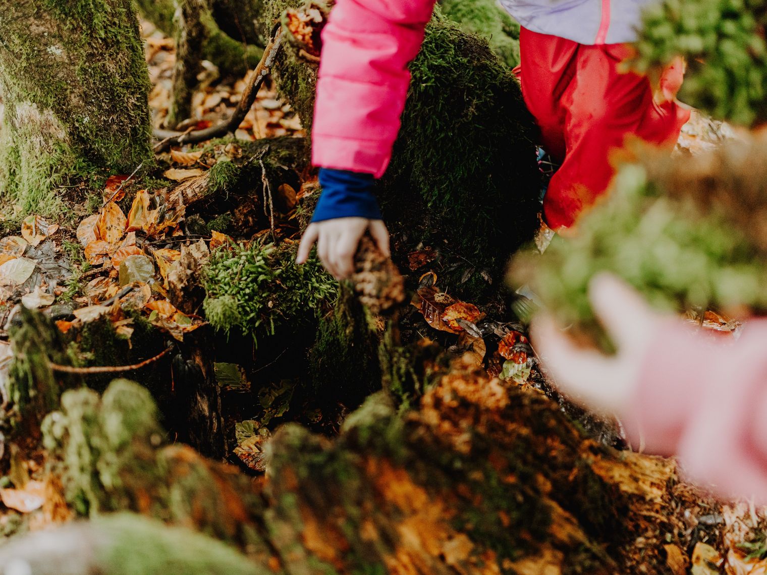 Hahnenkleer Märchen Wochen