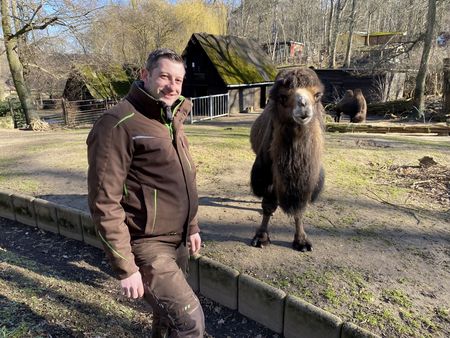 Marcel Zickert - Zootierpfleger im Tiergarten Halberstadt