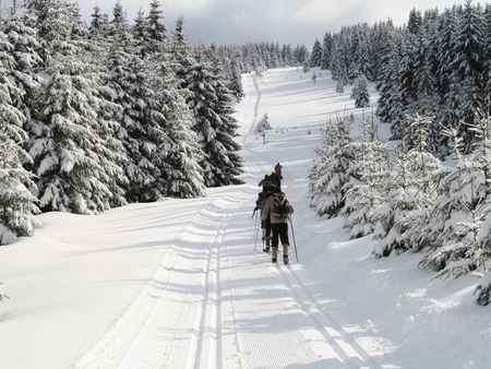 Langlauf in Schierke