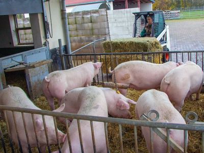 Koithahns Harzer Landwurstspezialitäten - Pfleger Dieter Woiwode bringt frisches Stroh