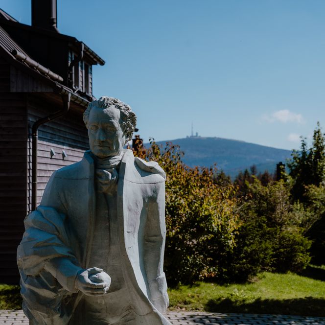 Harz Resort Torfhaus