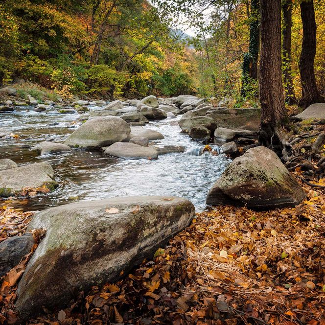 Fotoworkshop im Harz - Bode im Herbst