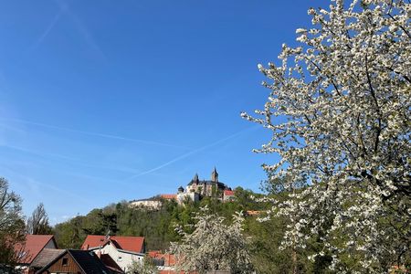 Blick auf das Schloß Wernigerode - Gothisches Haus Wernigerode