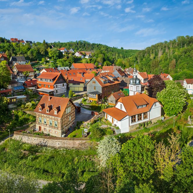 Neuwerk bei Elbingerode Ortsansicht