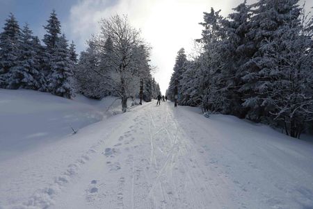 Skatingloipe im Oberharz