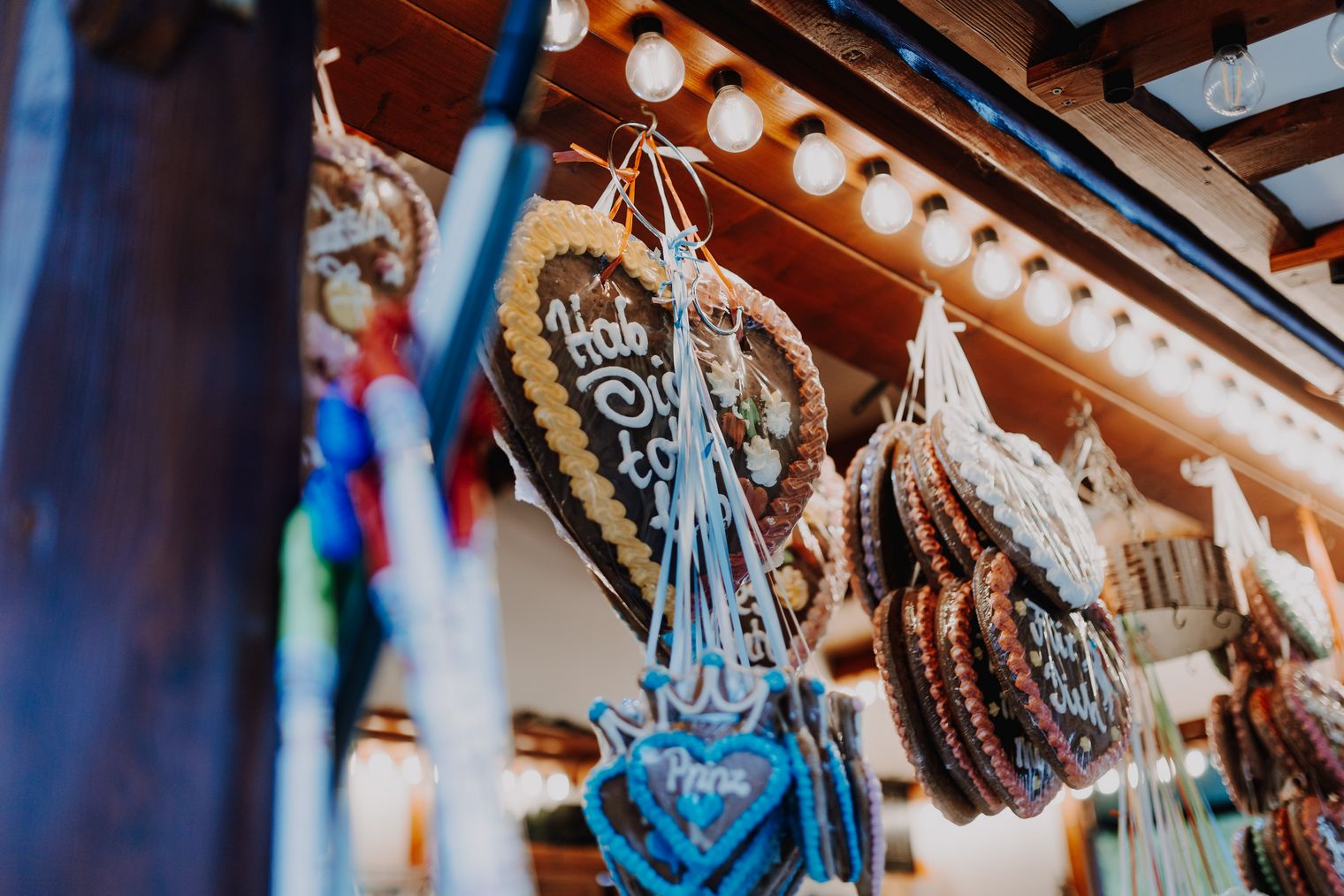 (c) achtpfotenphotography | Hahnenklee Tourismus GmbH