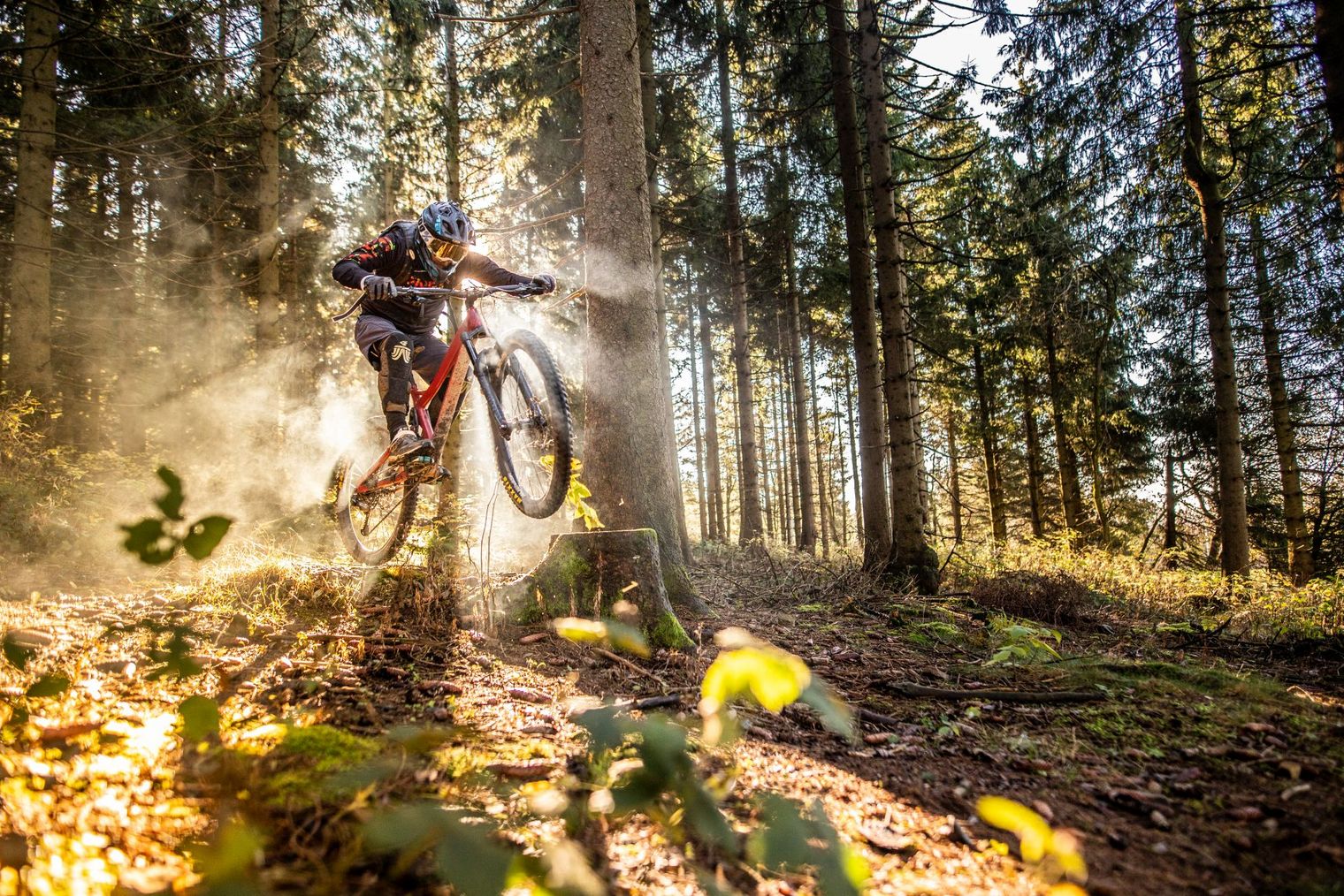 Downhill-Biker im Bikepark Hahnenklee