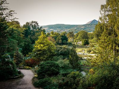 Rosarium mit Blick auf die Kugelhalde