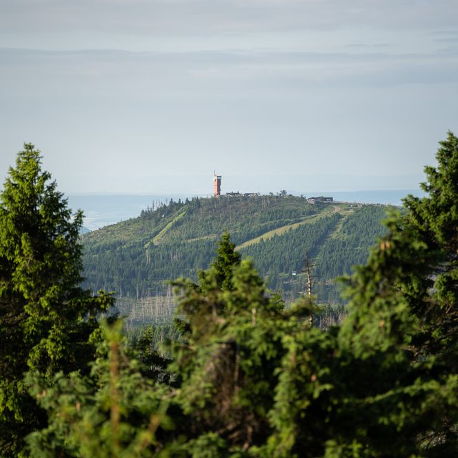 Blick auf den Wurmberg