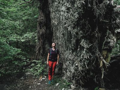 Geführte Touren im Harz - Wandern - Die Wanderei