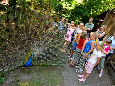 Wald-Vogelstation in Osterode am Harz