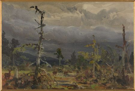  Torfhausmoor, Brandes