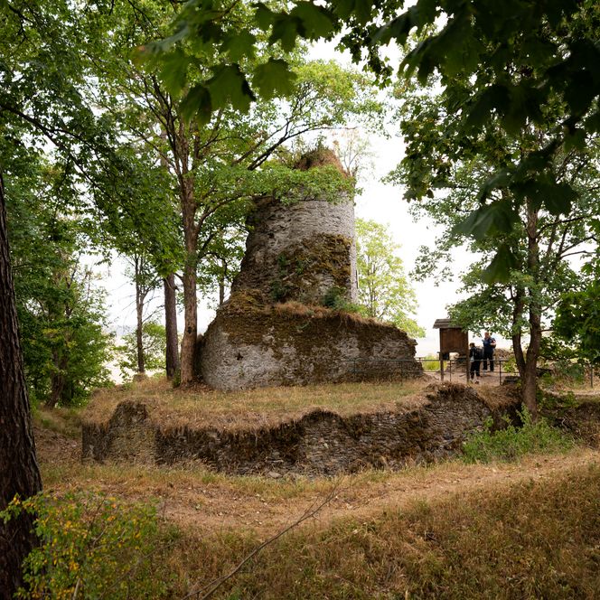 Etwas versteckt zwischen Bäumen findet der Harzer-Hexen-Stieg-Wanderer die Ruine der Königsburg.