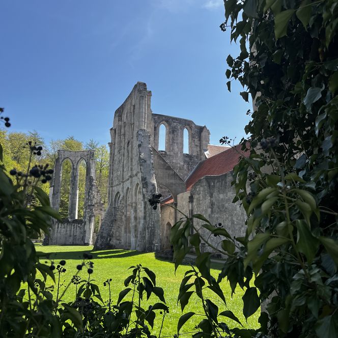 Zisterzienserkloster Walkenried im Frühling
