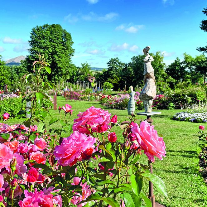 Rose trifft Kunst im Europa-Rosarium Sangerhausen