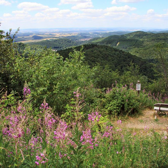 Ravensberg in Bad Sachsa