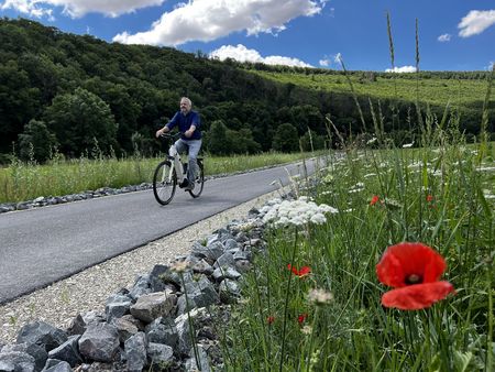 Ein Mann radelt auf dem Radweg durch die Steinzeit durch grüne Landschaft, umgeben von bunten Wildblumen und blauen Himmel.