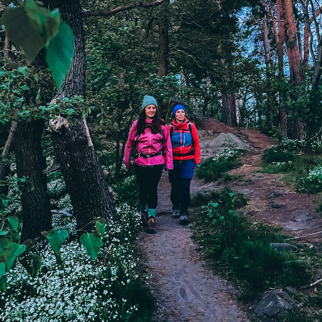 Die Wanderei - Wanderung im Frühling