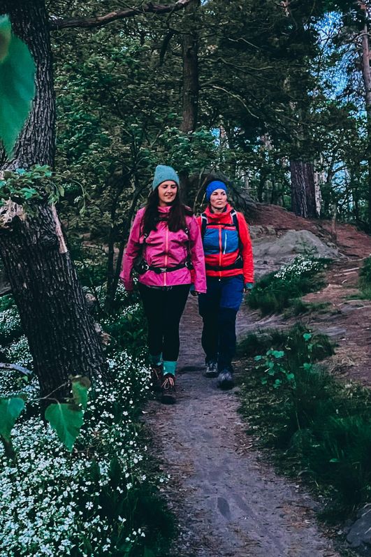 Die Wanderei - Wanderung im Frühling