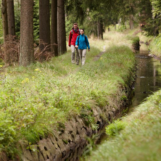 Wandern in der Oberharzer Wasserwirtschaft entlang des Clausthaler Flutgrabens.