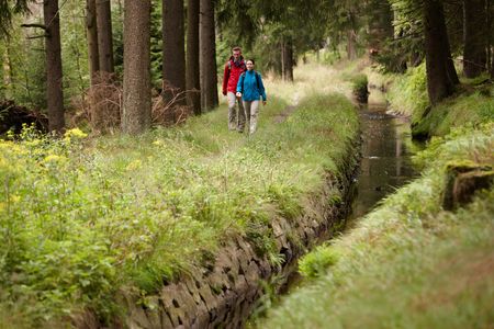Wandern in der Oberharzer Wasserwirtschaft entlang des Clausthaler Flutgrabens.