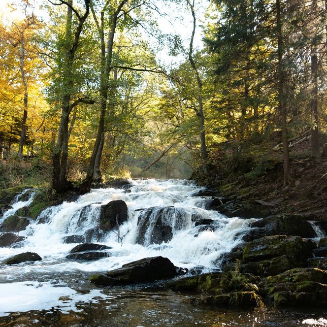 Ilsefälle im Herbst