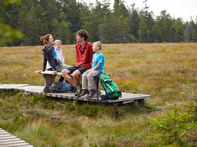 Wandern - Torfhausmoor im Harz