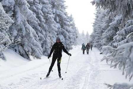 Langlauf im Oberharz