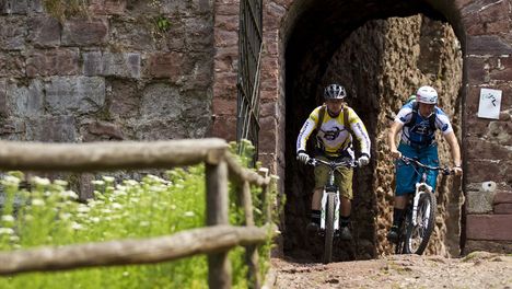 MTB an der Burgruine Hohnstein