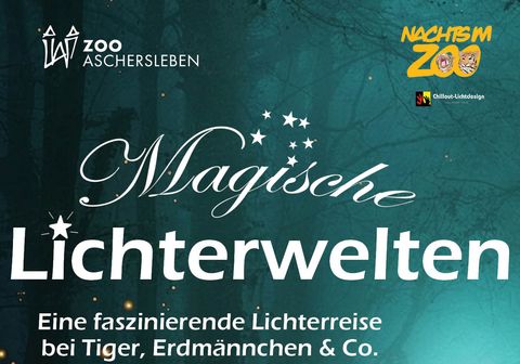 Magische Lichterwelten - Plakat