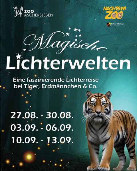 Magische Lichterwelten - Plakat
