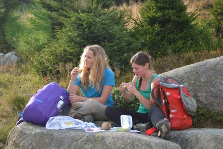 Picknick am Goetheweg