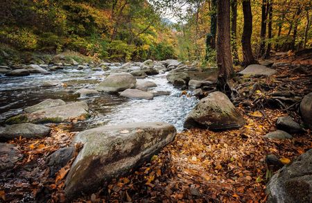 Bodetal im Herbst